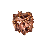 DAILY TREATS -DARK CHOCOLATE ROCHER 11G