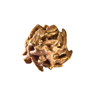 DAILY TREATS -MILK CHOCOLATE ROCHER 11G