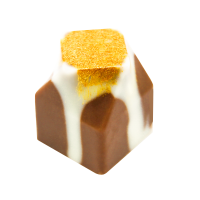 CURIOSITIES -GOLD MINE PRALINE 10G