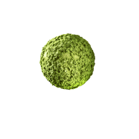 CURIOSITIES -MATCHA MACCHA TRUFFLE 10G