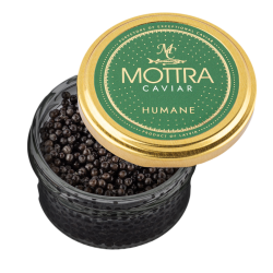 Mottra Caviar