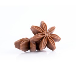 Chocolate Decor